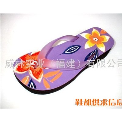 女鞋vly-66lp