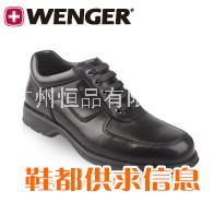 Wenger威戈秋季新品 休闲男鞋 超轻舒适系带高端商务男款 欧瑞