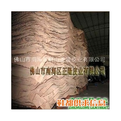 皮坯