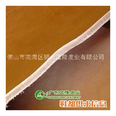 全树膏