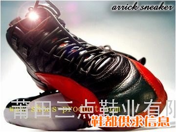 JORDAN 12代