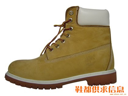 天博伦