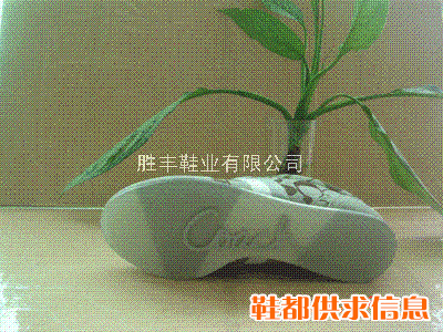 coach休闲运动鞋