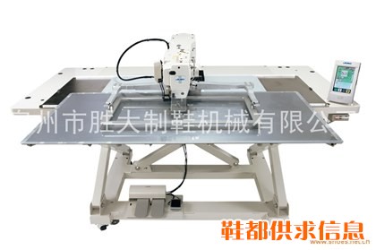 带输入功能的花样循环缝缝纫机