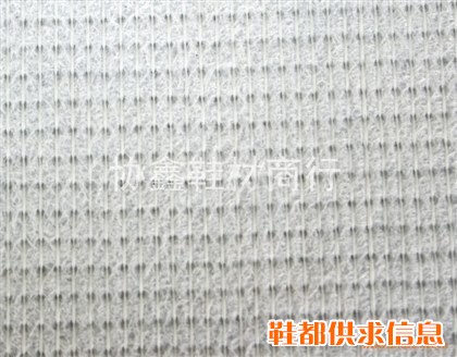 丽新布（白）