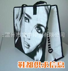 供应纸袋无纺布袋手提袋超市购物袋等
