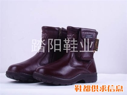 电热保健鞋