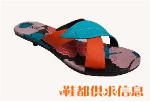 女士时装拖鞋 SZ007