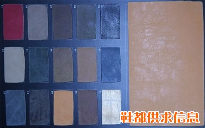 沙龙皮22