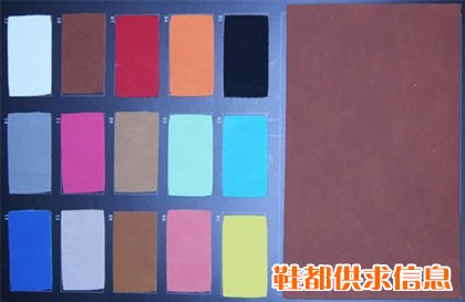 沙龙皮24
