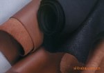 Z油粒面