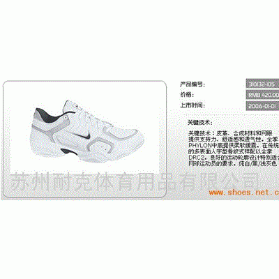 男子网球鞋 310132-105
