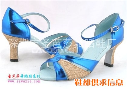 2010年元旦舞蹈鞋舞鞋舞蹈用品批发订购