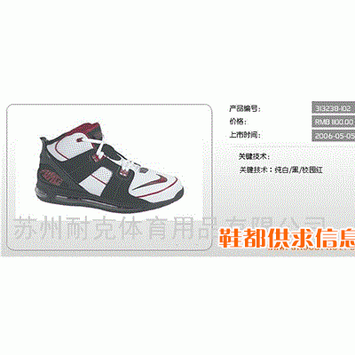 男篮球鞋 313238-102