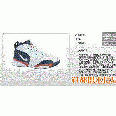 男篮球鞋 313386-111